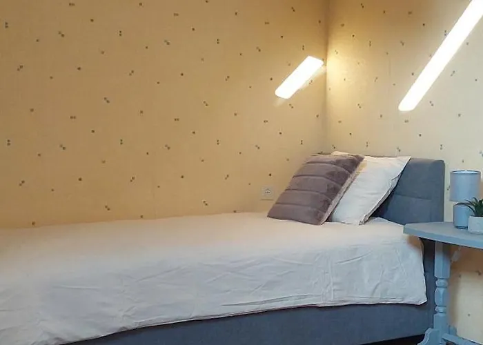 Avar Korter Suedames *